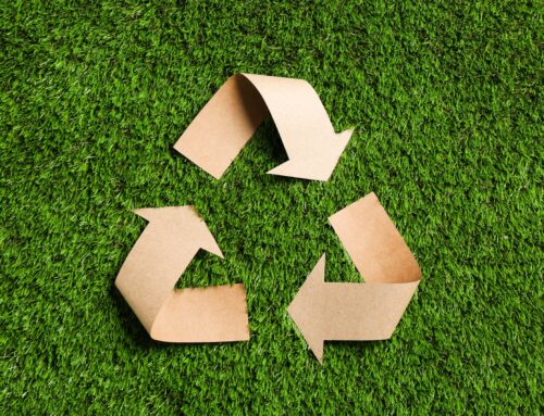 Substainability: Rethinking The Impact Of Your Event