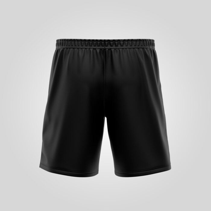 Appin Shorts (back)